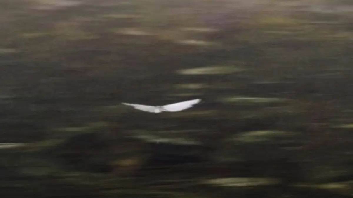 ตัวละครนี้ใครเล่น(ซีรีส์วาย)