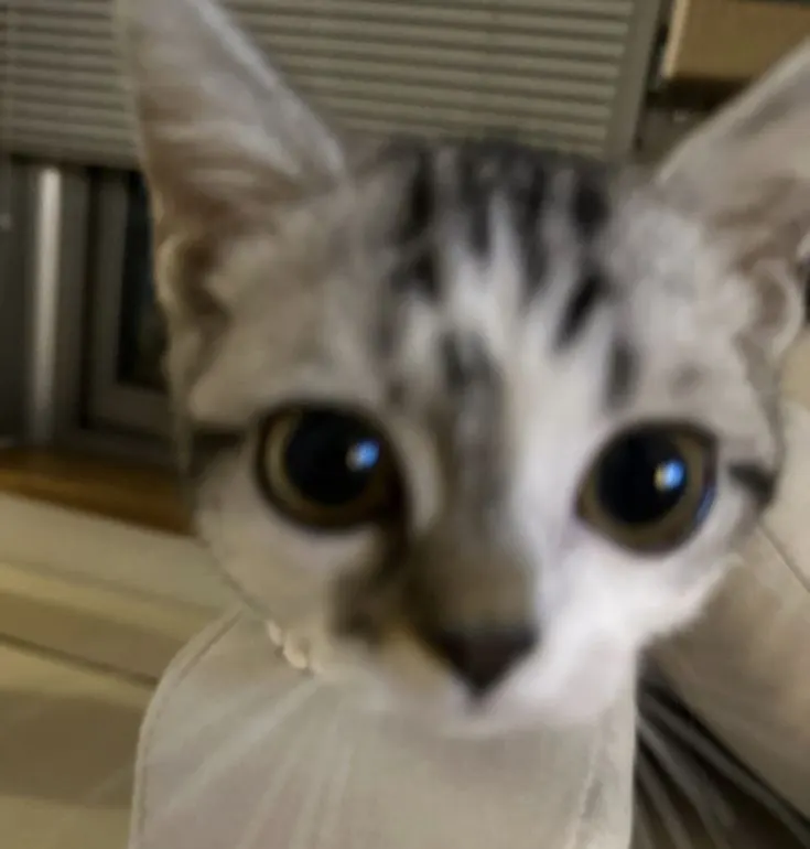 พฤติกรรมปกติๆของพี่ไม้คืออะไร