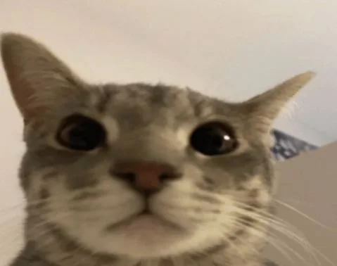 ระหว่าง 4SGamerTV กับ Ghostmaiky ใครคือตัวจริง?