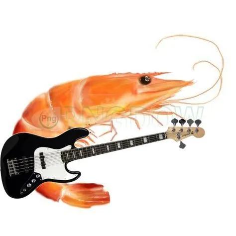 กุ้ง