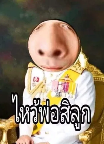 เป็นหมดทุกอย่างค่ะ/ครับ