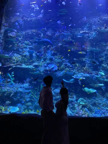 อควาเรียม