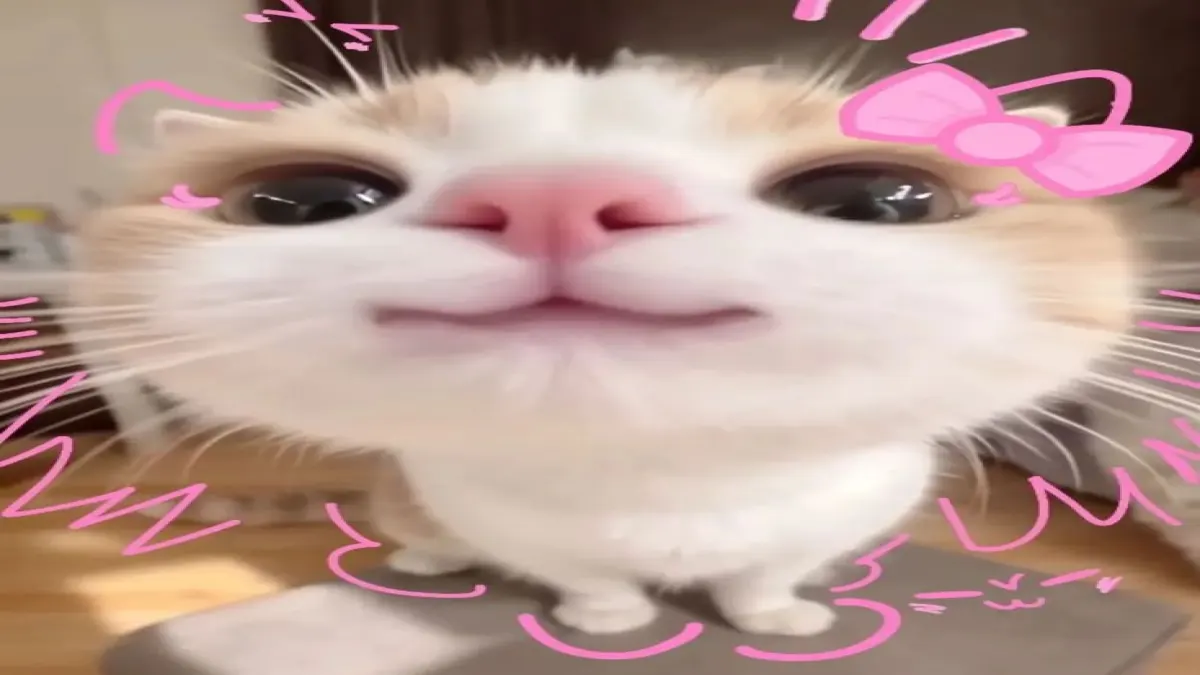 คุณชอบเขาไหม(นึกถึงคนนั้นเวลาตอบด้วย)