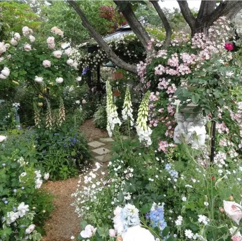 สวนดอกไม้สวยๆ(⁠&nbsp;⁠ꈍ⁠ᴗ⁠ꈍ⁠)
