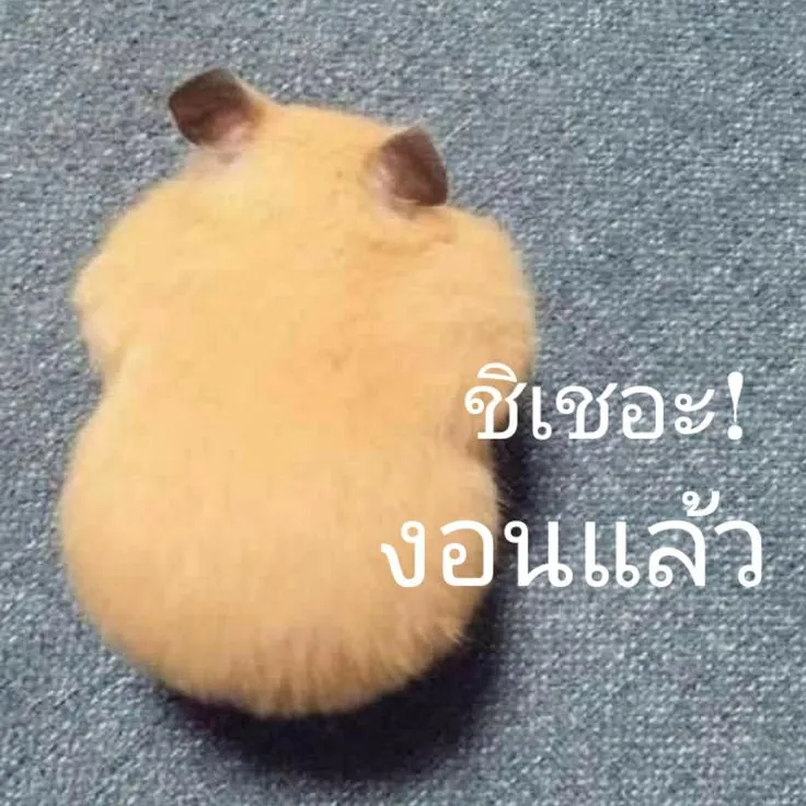 ถ้าเรางอนเธอจะทำยังไง