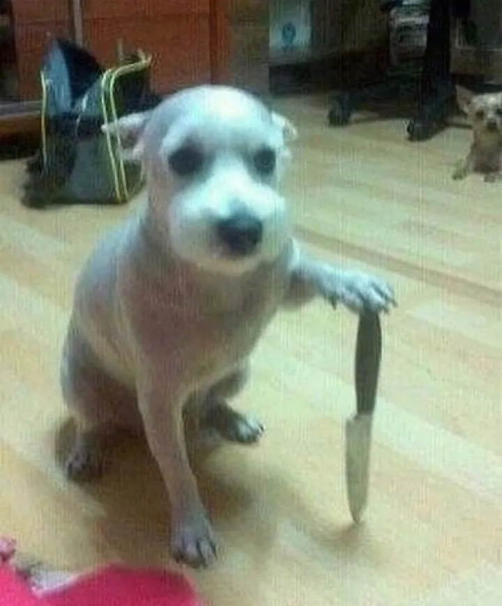 อะไรฆ่ายายของเพ่ย