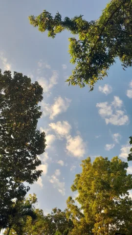 แดดอ่อนตอนเช้า