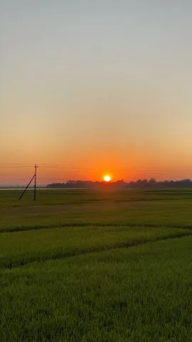 แสงอาทิตย์ตกดิน