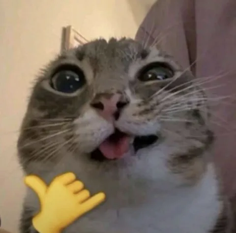 ความสนุกสนาน