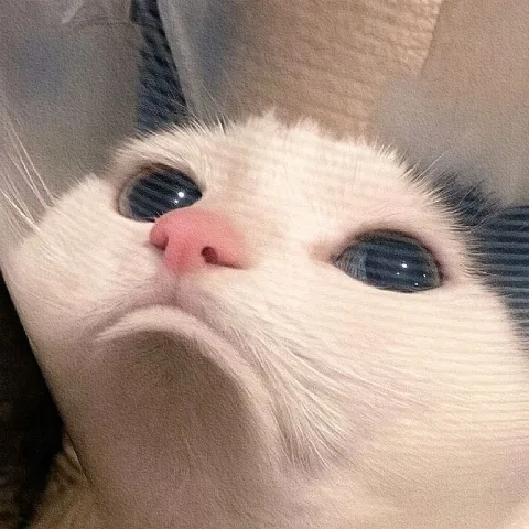 ความสบายใจ