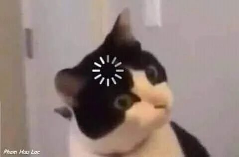 ความเฉลียวฉลาด