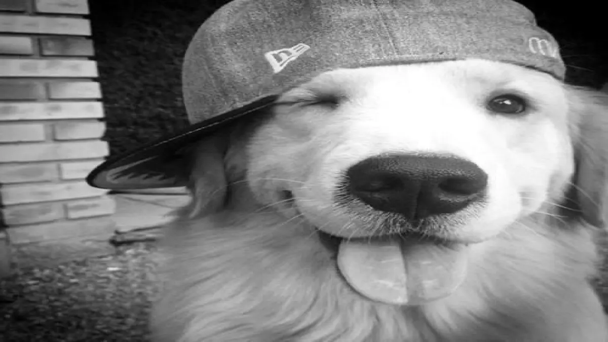 ᴳᵒ ᵗᵒ ˢᶜʰᵒᵒˡ