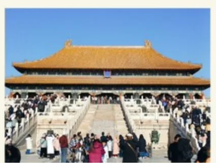 这是什么？在哪里？