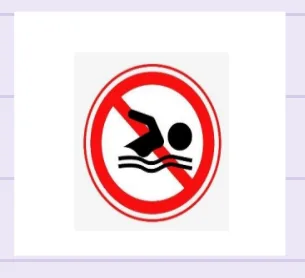 这是什么？