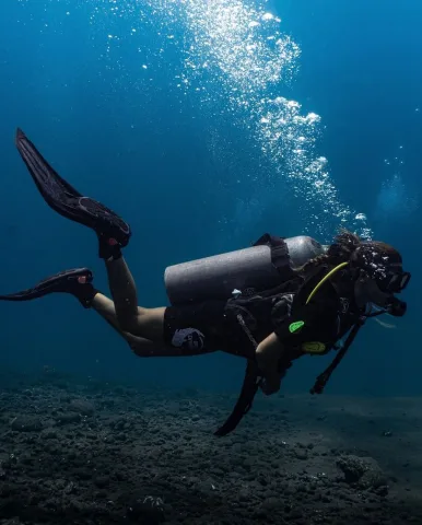 Go diving /ไปดำน้ำ