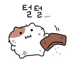 มาซื้อของกันเถอะ ! !