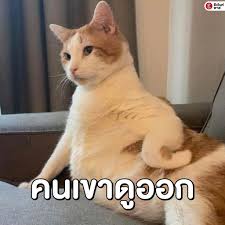 ทรงผมแบบโหดๆ ไม่รวมหน้าตา+เมคอัพ