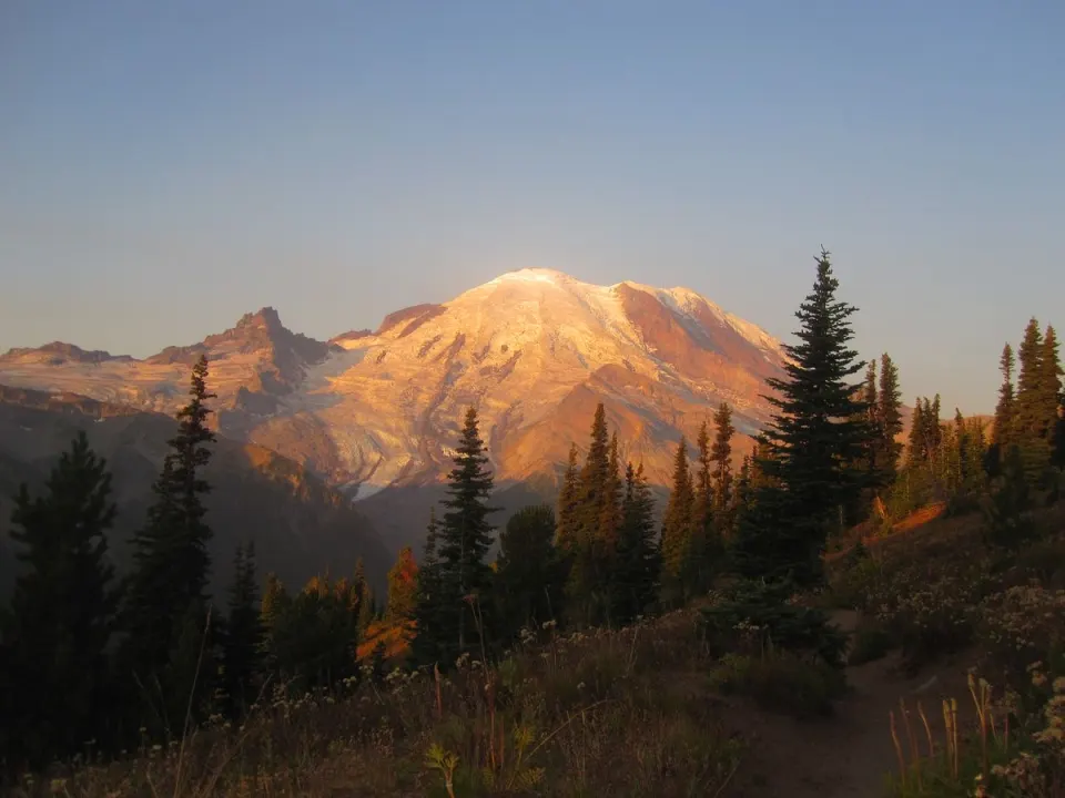 You reach the top, what do you find yourself doing? *ੈ 𖠰‧₊