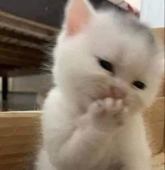 เขาขอไอจีคุณ