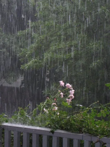 ฤดูฝนเย็นชุ่มฉ่ำบรรยากาศน่านอน