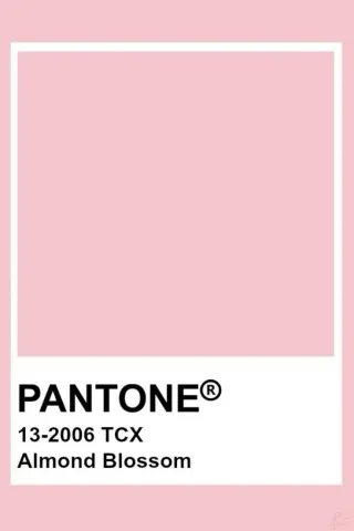 สีชมพู