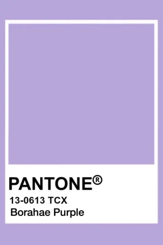 สีม่วง