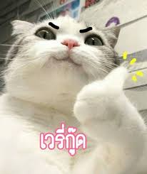 ของประจำตัวที่จะบ่งบอกถึงคุณแน่นอน