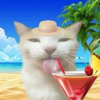 This summer at the beach / หน้าร้อนนี้ที่ทะเล