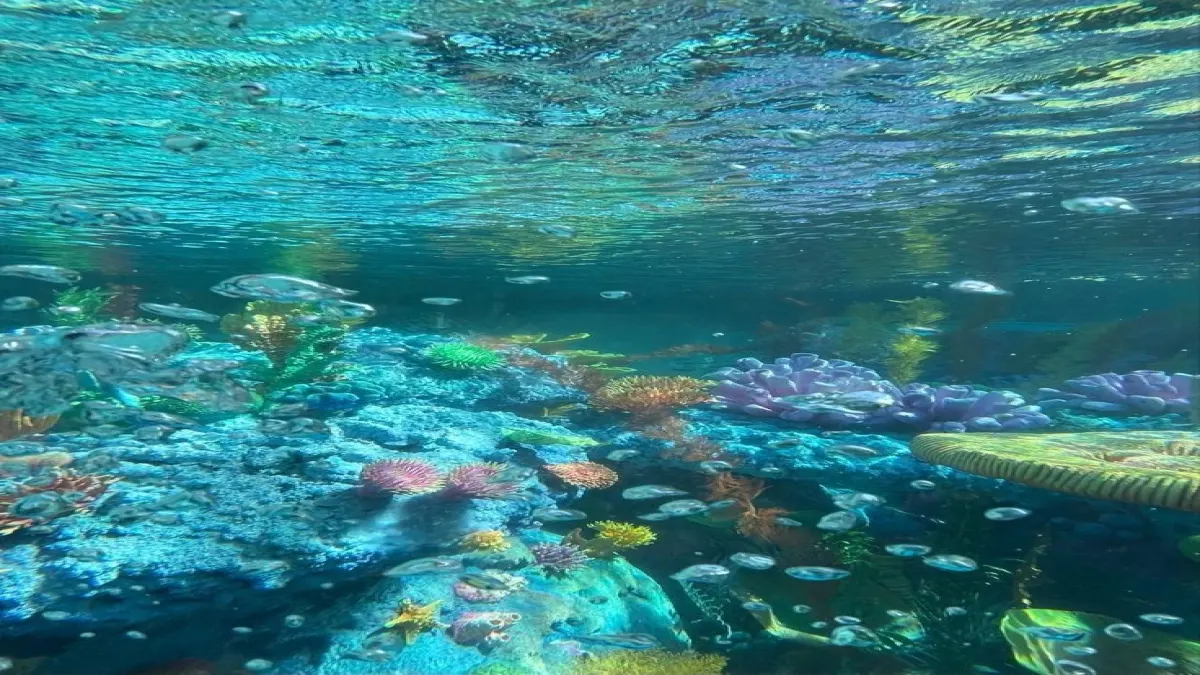 เมื่อคุณเป็นนางเงือก🧜🏻&zwj;♀️