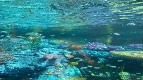 เมื่อคุณเป็นนางเงือก🧜🏻&zwj;♀️