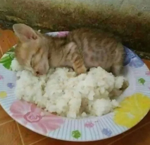 ...