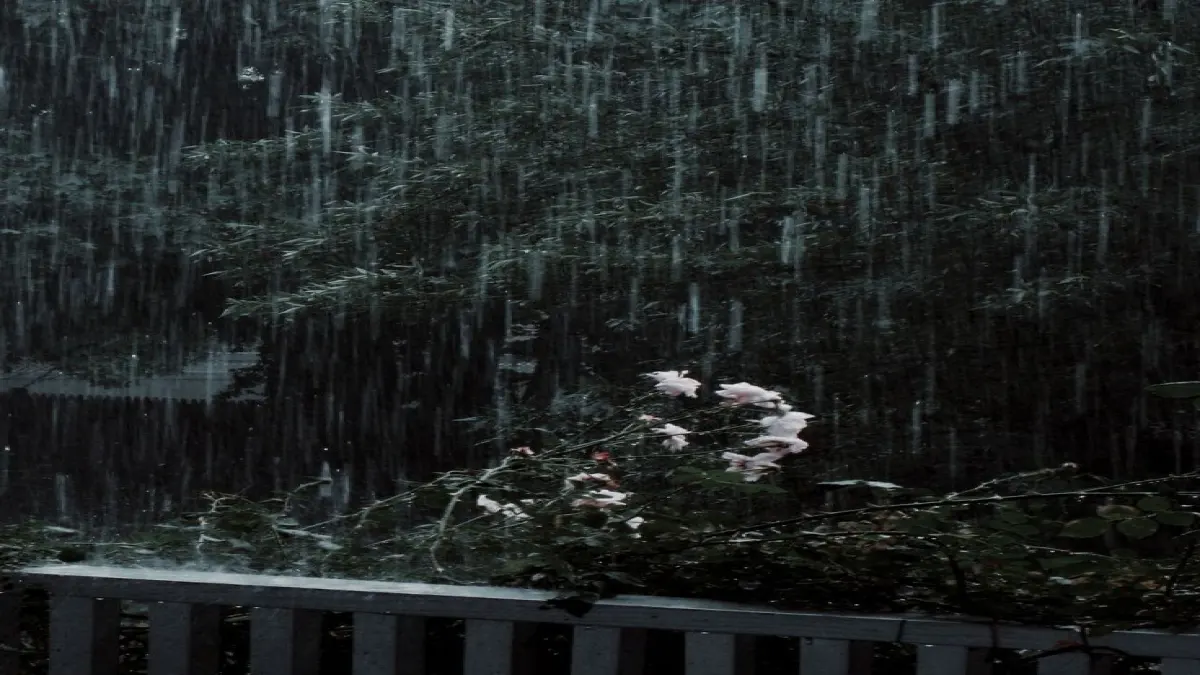 อยู่บ้านคนเดียวในวันที่ฝนตกก