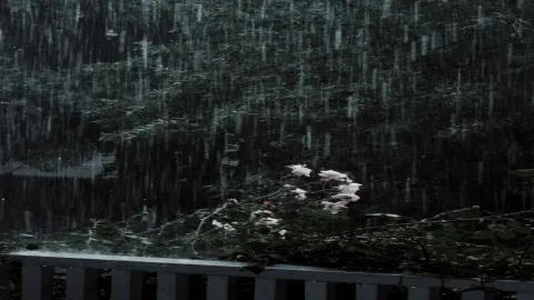 อยู่บ้านคนเดียวในวันที่ฝนตกก