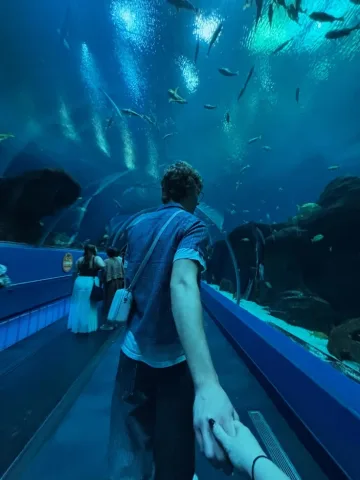 Aquarium date