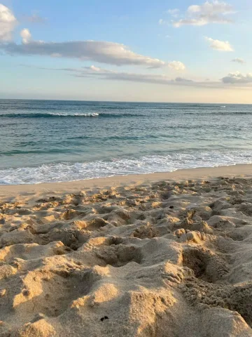 Beach date
