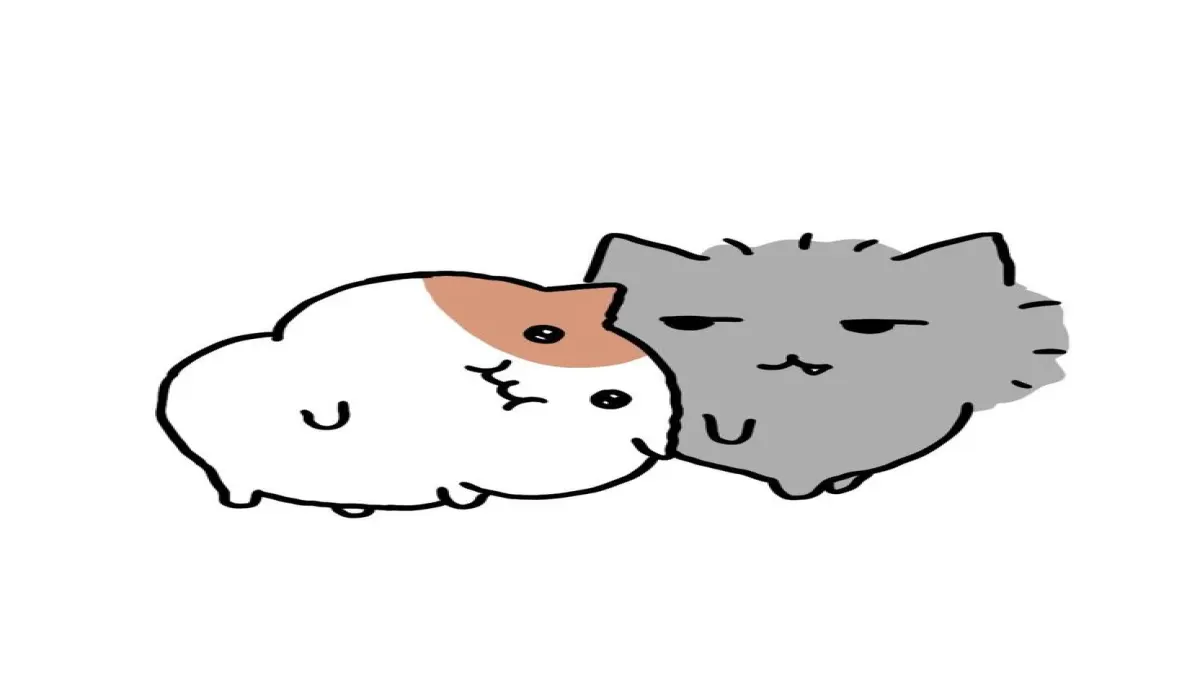 จัดกล่องข้าวให้ตัวเอง