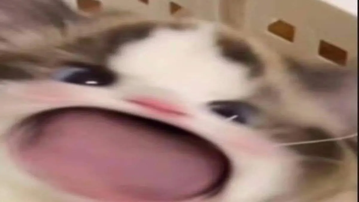 เธอรักเค้ามากเเค่ไหนนน