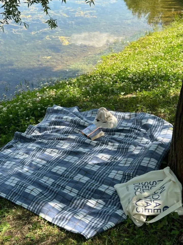 Lunch at a picnic. (เลือกอาหารเที่ยงที่กินตอนปิคนิค.)
