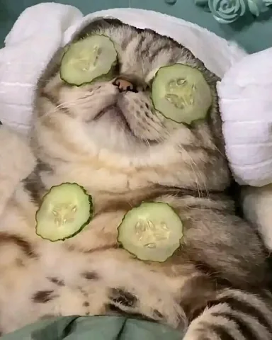 🛏🛏🛏