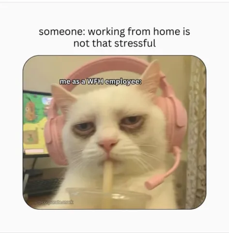 ☕️☕️☕️