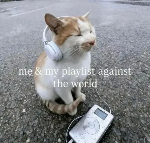 🎧🎧🎧