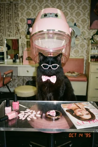 💅💅💅
