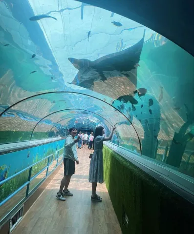 Aquarium🐟🐠