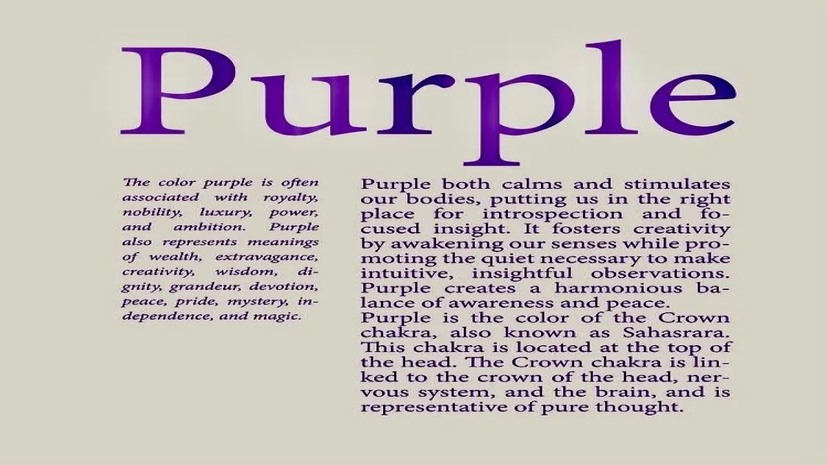 PURPLE👾