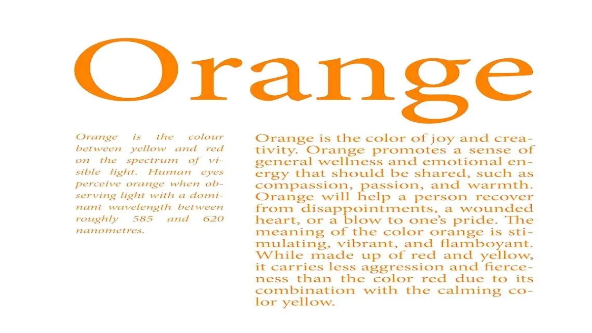 ORANGE🍊