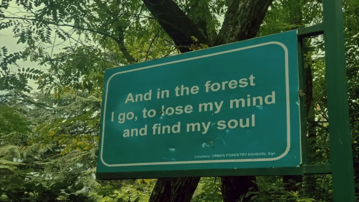 FOREST GIRL🌲