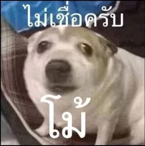❌