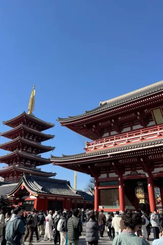 sensoji temple 𐙚