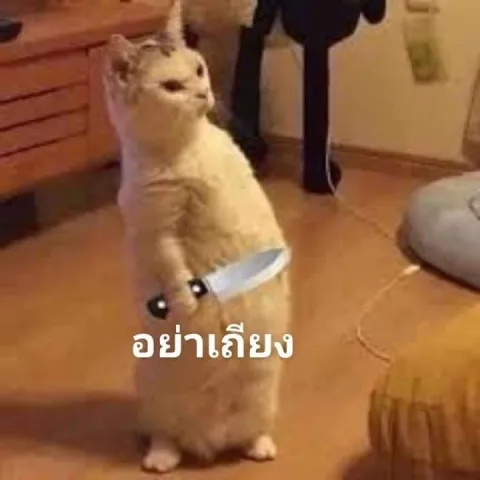 คนที่มีความคิดสร้างสรรค์และมีมุมมองที่ไม่เหมือนใคร