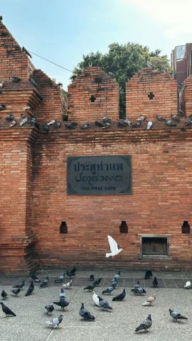 The Phae Gate⛩️